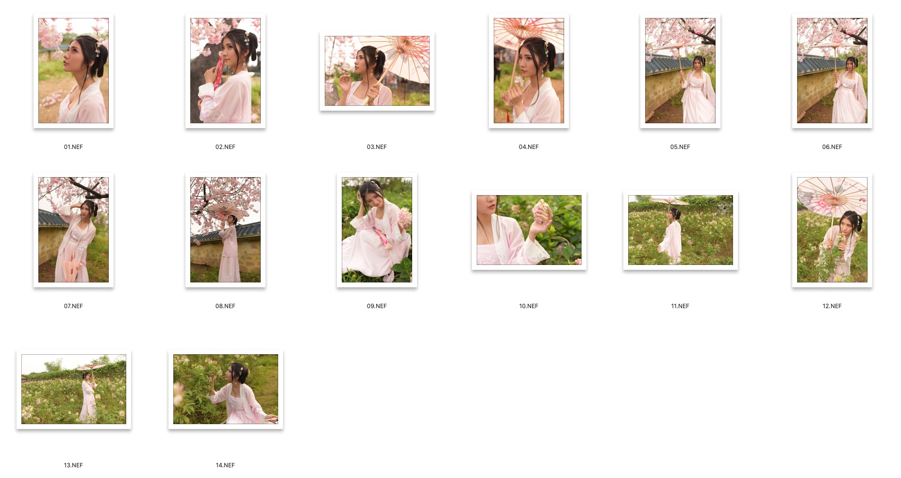 图片[2]-14张樱花汉服古风美女人像RAW原图NEF格式人像精修练习素材