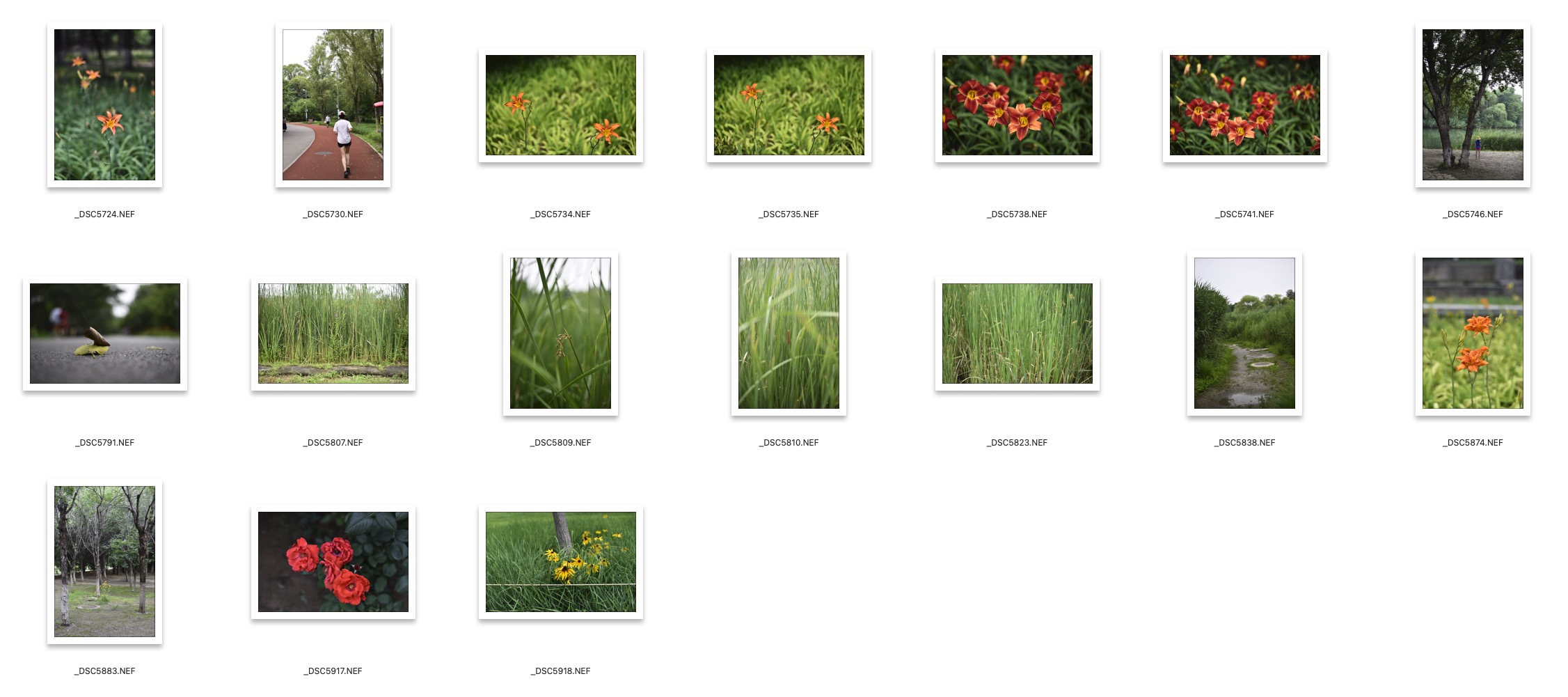 图片[2]-17张D750拍摄风景RAW原图NEF格式修图练习素材