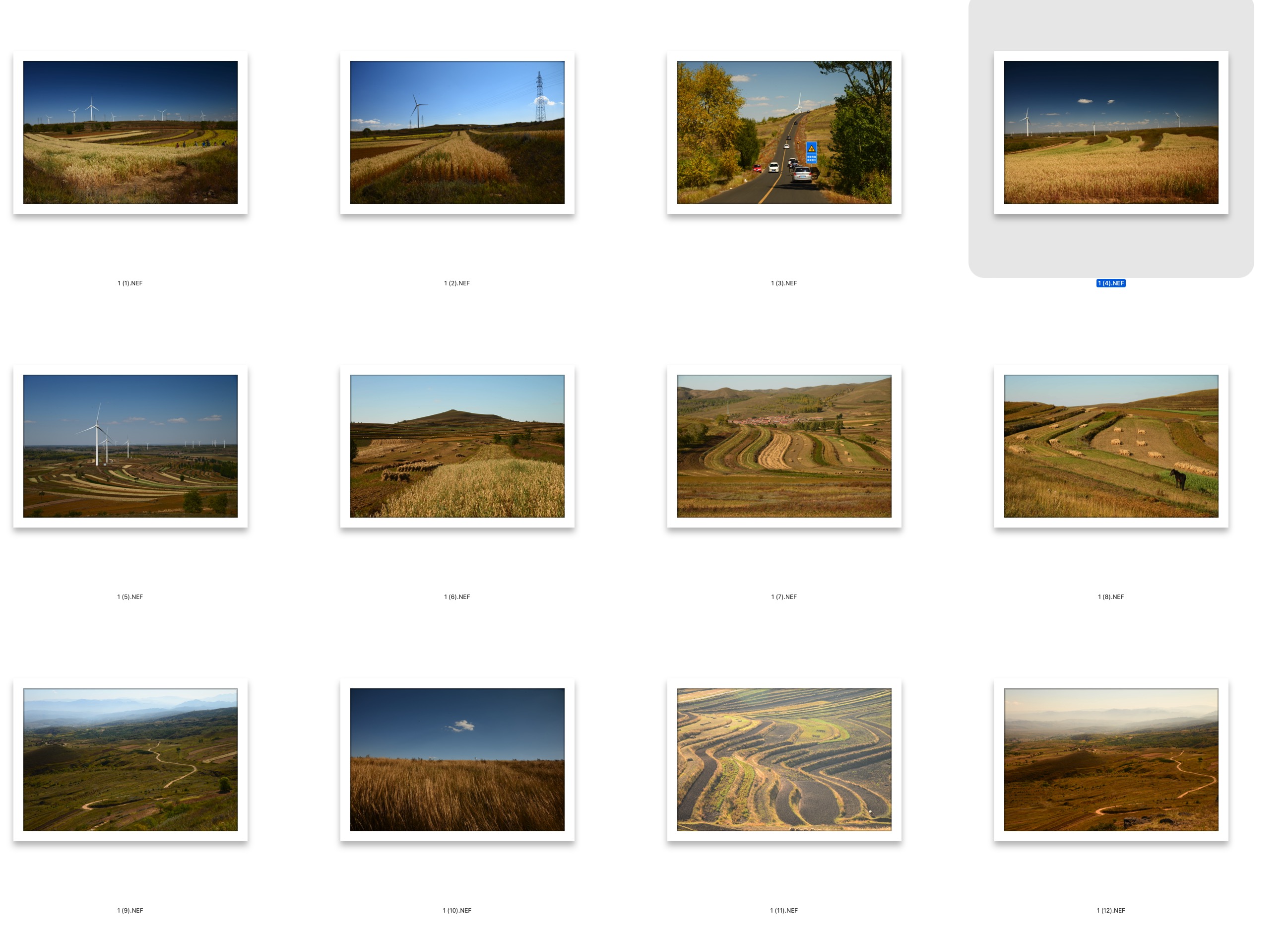 图片[2]-12张秋天天路草原风景RAW原图NEF格式人像调色练习素材