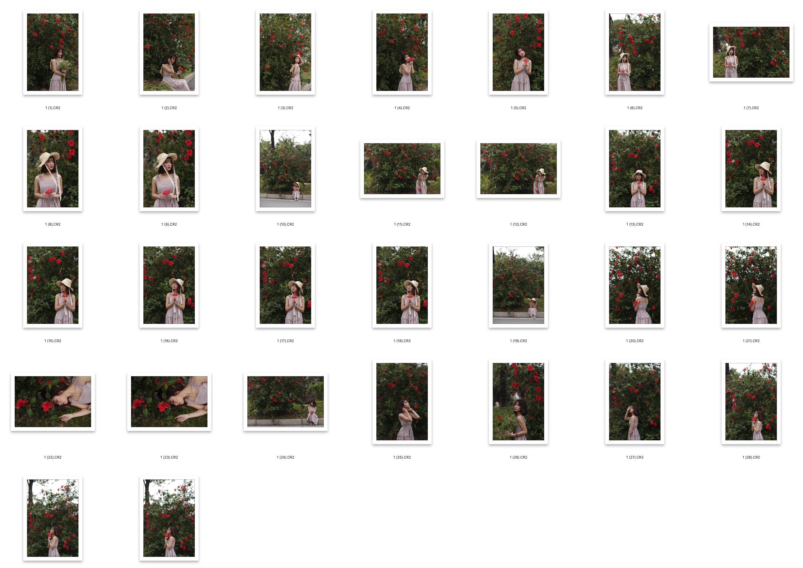 图片[2]-30张木槿花下-邻家清纯美女摄影RAW原图佳能6D CR2格式练习素材