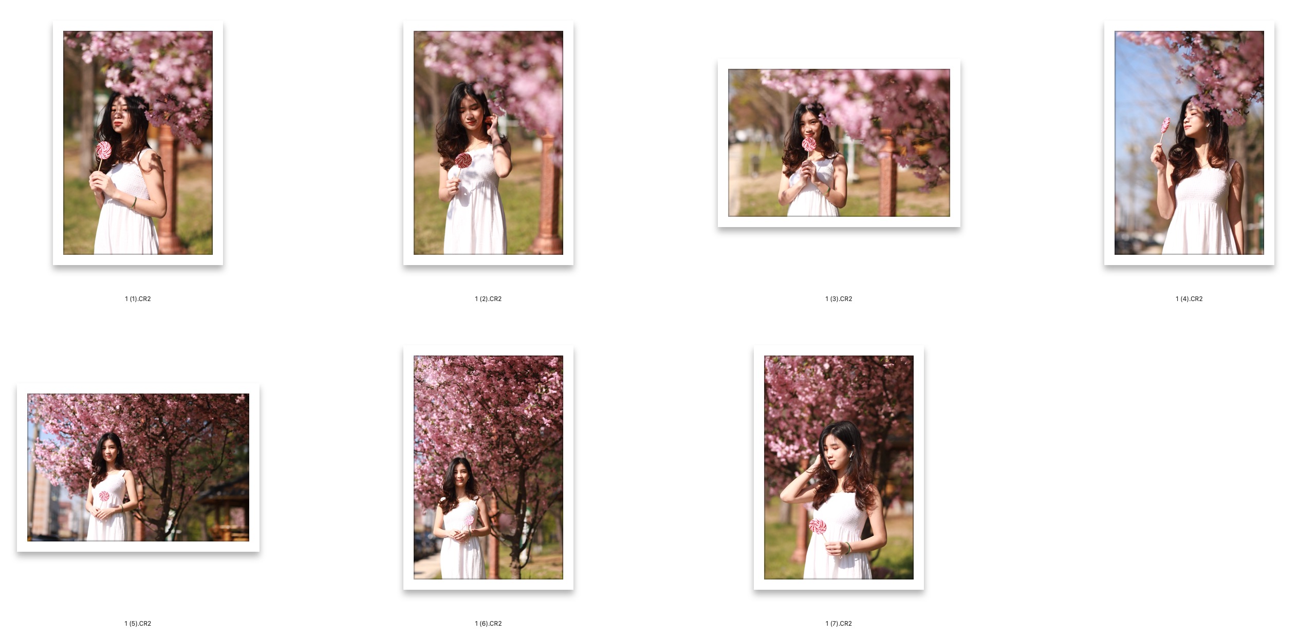 图片[2]-7张樱花树下棒棒糖白裙美女RAW原图佳能6D2 CR2格式调色练习素材