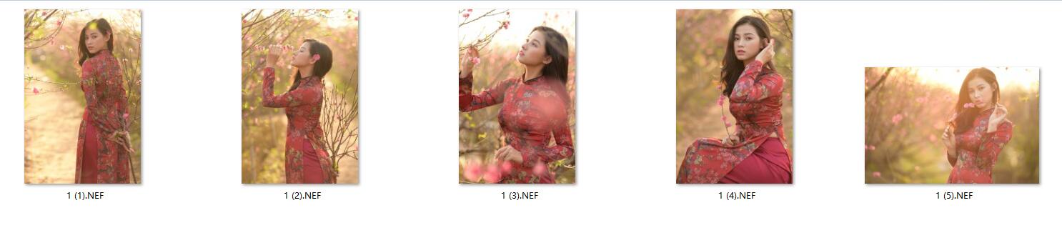 图片[2]-5张红色旗袍美女RAW原片NEF格式人像精修调色练习素材