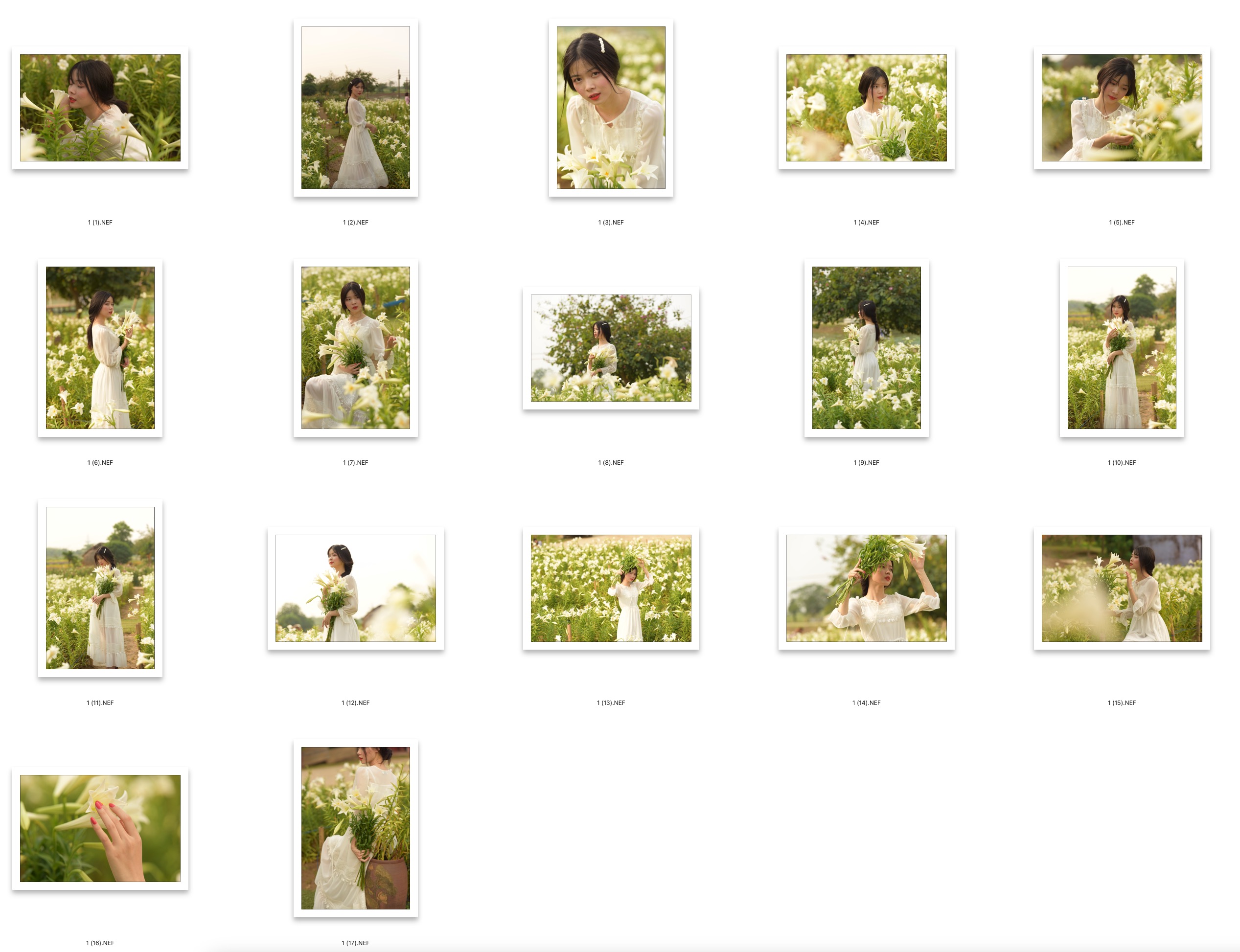 图片[2]-​17张百合花田美女写真RAW原图NIKON D810拍摄NEF格式人像原片