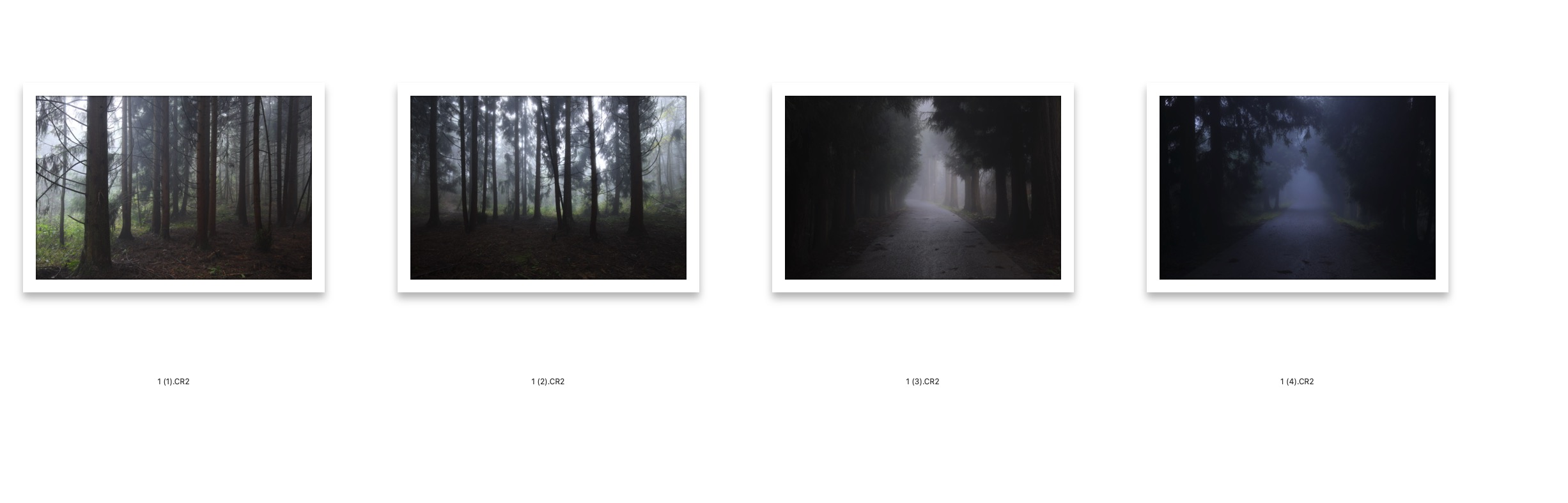 图片[2]-​4张高清树林RAW原图CR2格式未修原片摄影原档修图练习素材​