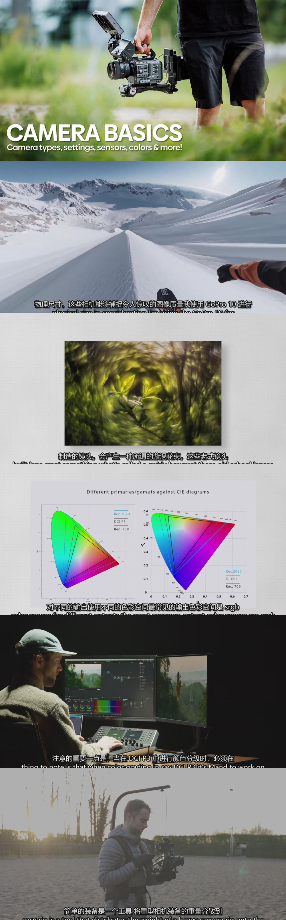 图片[1]-电影拍摄基础知识-相机类型.传感器.颜色设置教程-中英字幕-美夕摄影资源