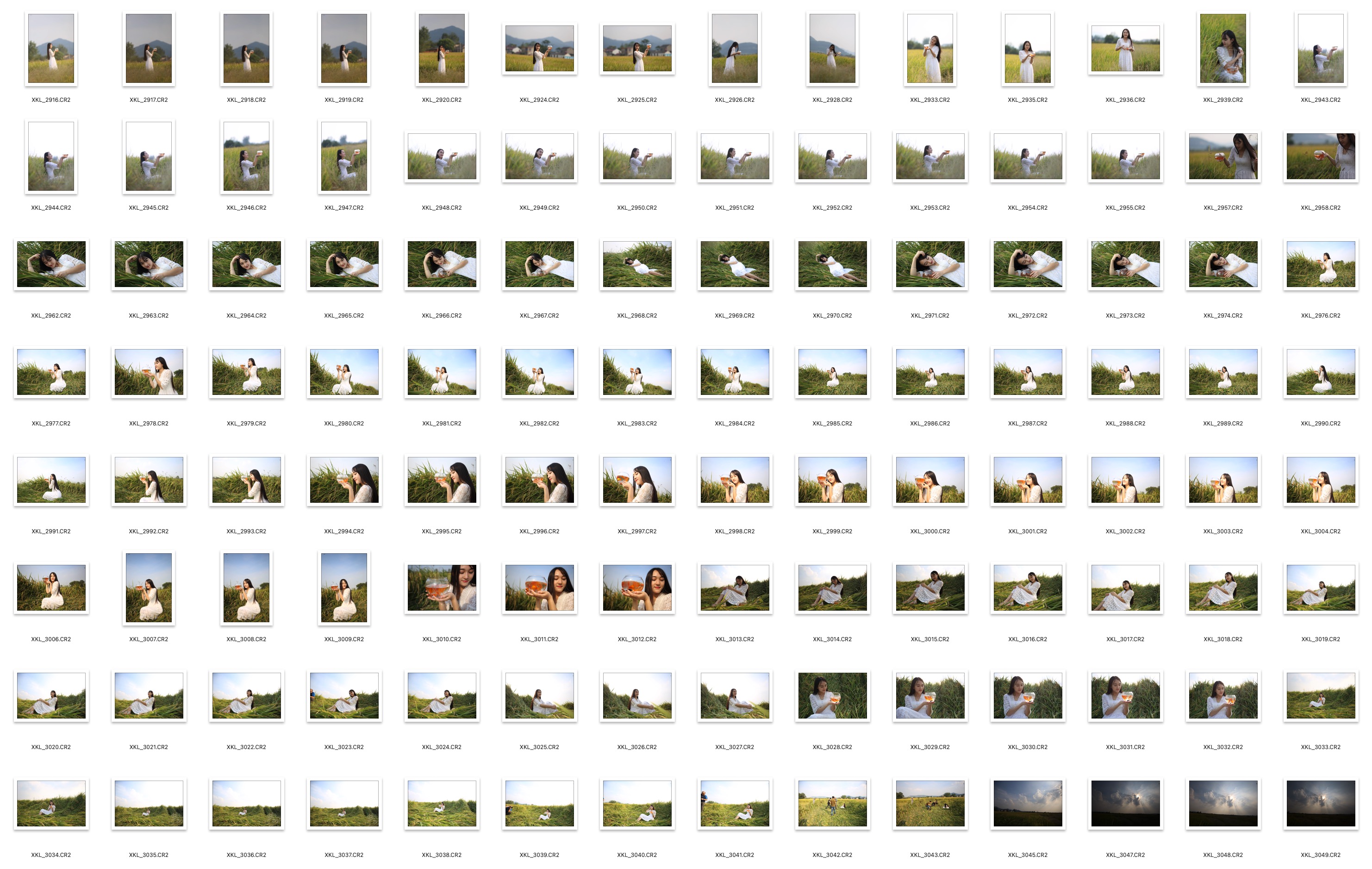 图片[3]-241P稻谷田园外景小提琴白裙美女摄影RAW原图练习素材