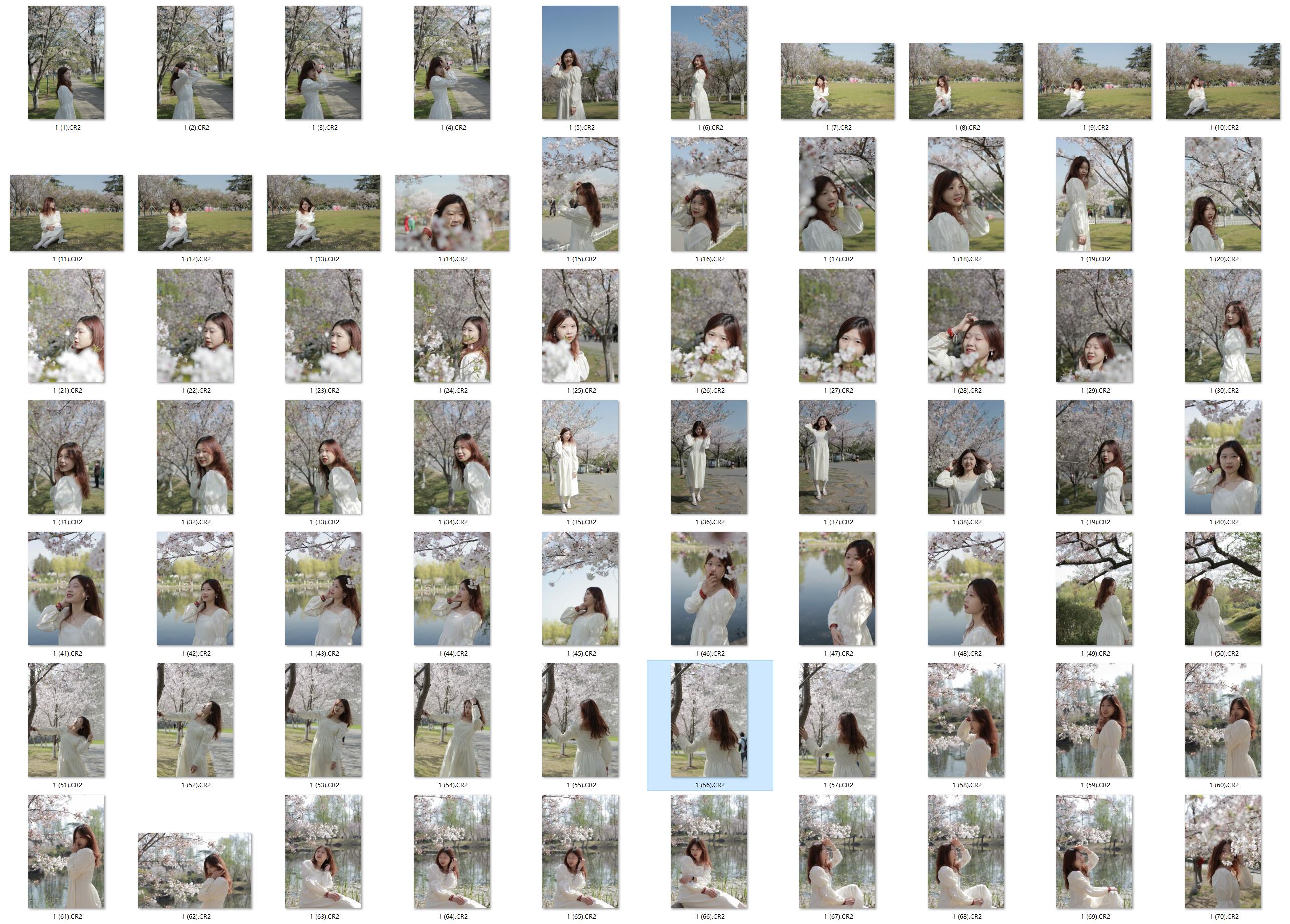 图片[3]-​​​​​107张樱花少女RAW原图Canon EOS 5D Mark II修图练习素材