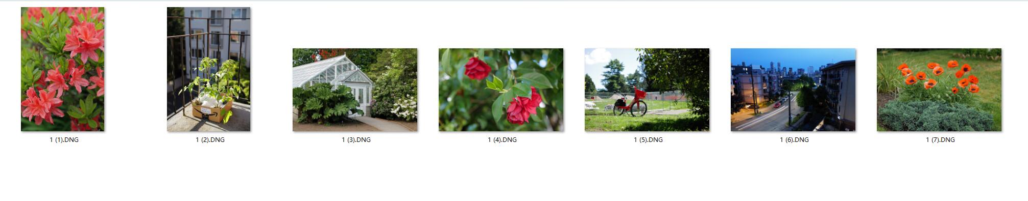 图片[2]-​​​​​7张莱卡Leica SL2相机质感样片RAW原图修图练习素材​