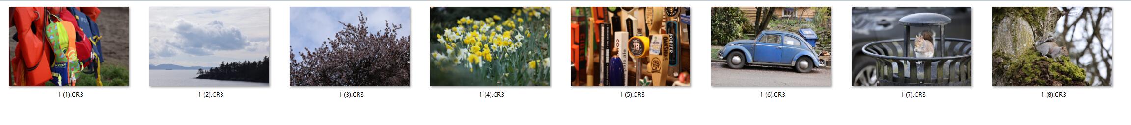 图片[2]-​​​​​8张佳能R5直出RAW原图Canon EOS R5修图练习素材​