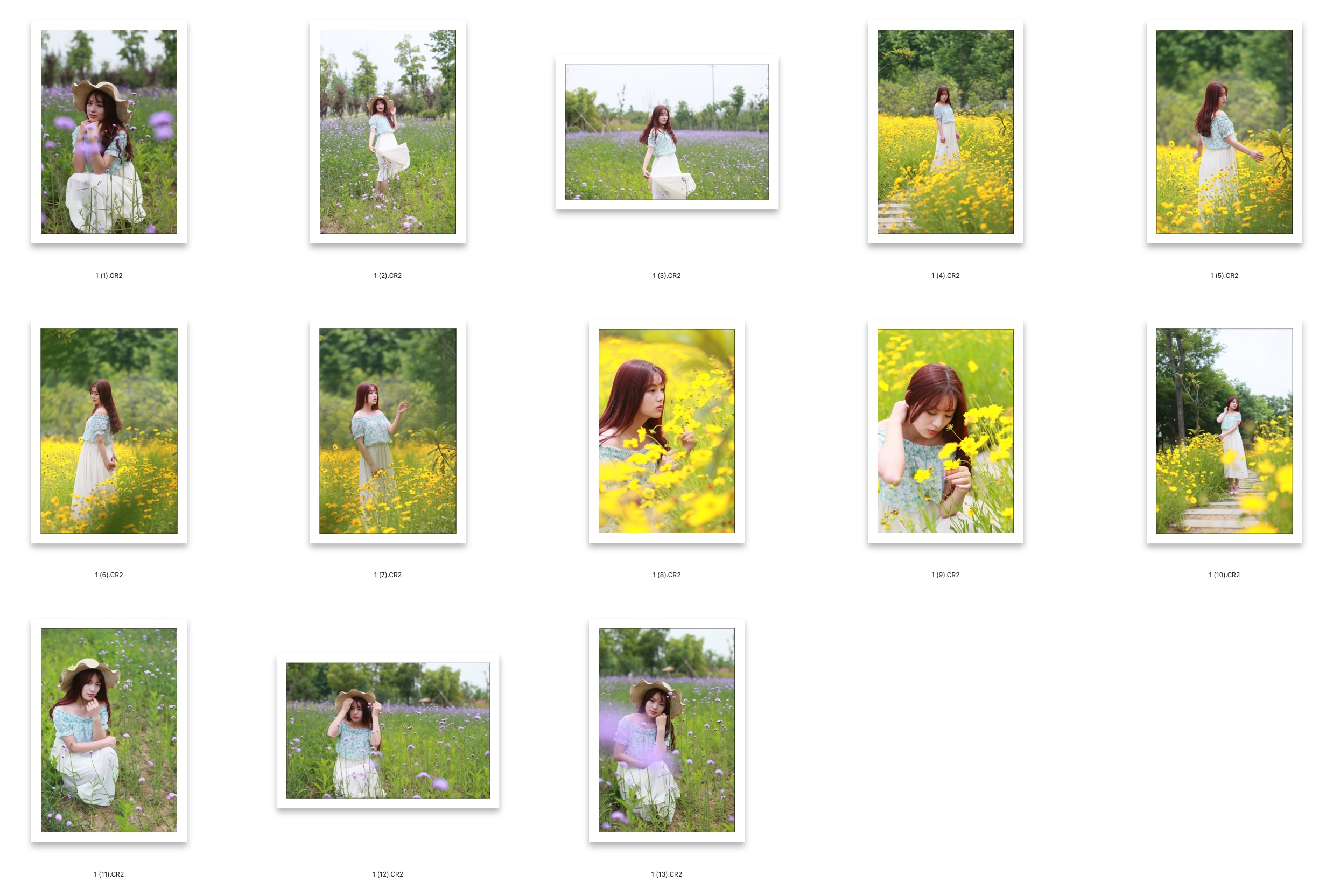 图片[2]-13P菊花清色花衣白裙女孩摄影RAW原图,修图练习RAW素材