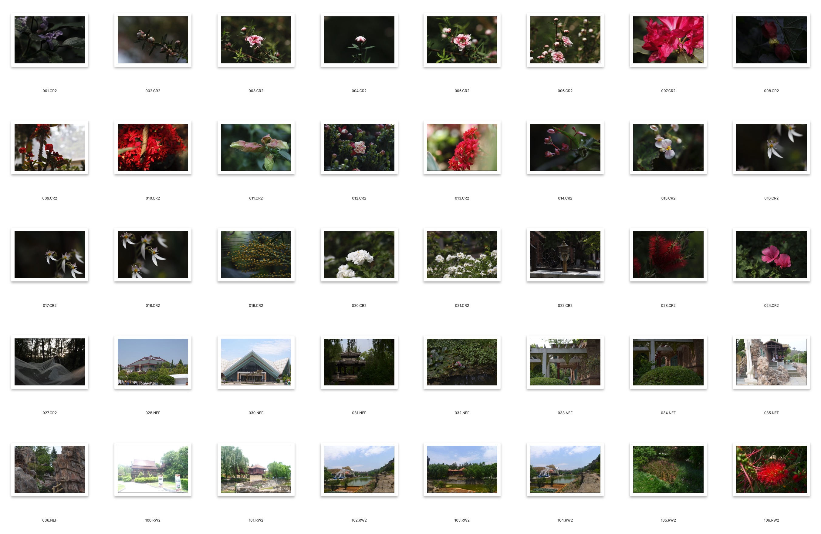 图片[2]-40张公园花卉风光摄影RAW原图,风光后期修图RAW素材