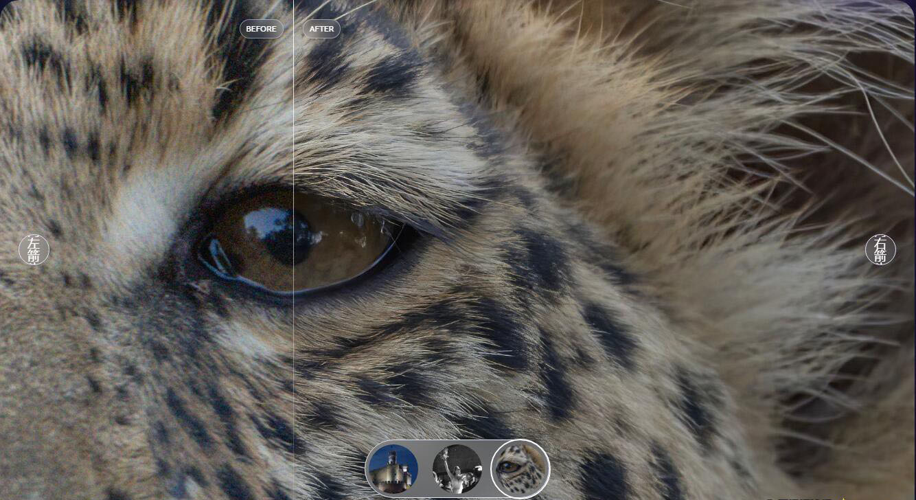 图片[4]-Topaz Photo AI 3.0.1 中文汉化版|Topaz放大降噪锐化插件+模型 WINX64