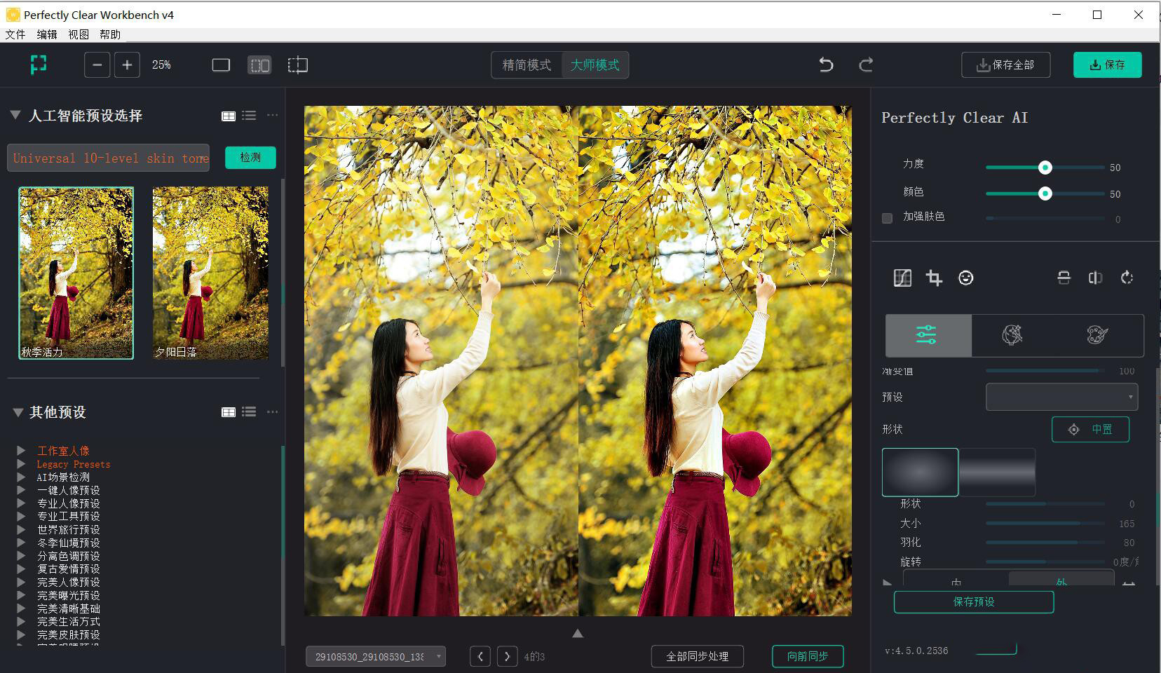 图片[3]-AI智能清晰修图软件 Perfectly Clear WorkBench  v4.6.0.2645 WIN 中文版